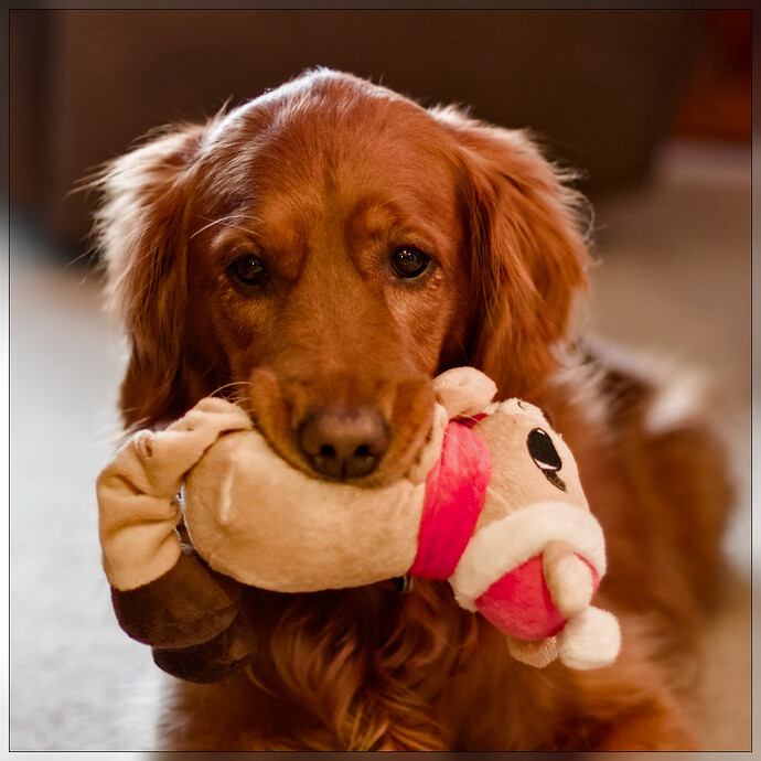 2015-01-22 093429-01