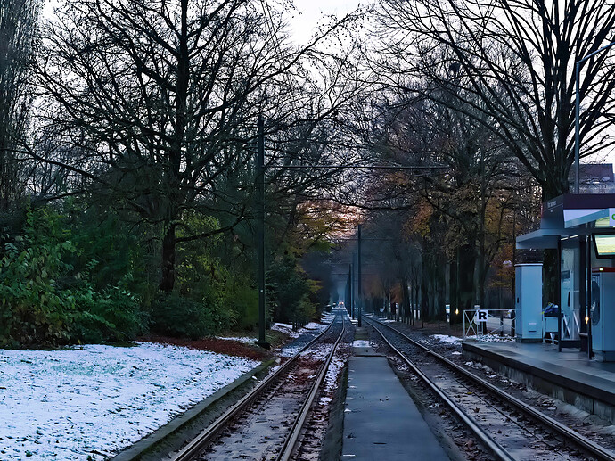 A7C01725 RawTherapee and GIMP (jpeg-li)