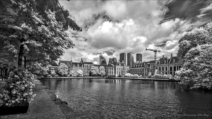 FMG12684-F11mm-A5.6-DenHaag-ISO100-dt_v1-2026-web