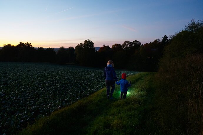 251013_190715_DSC05225