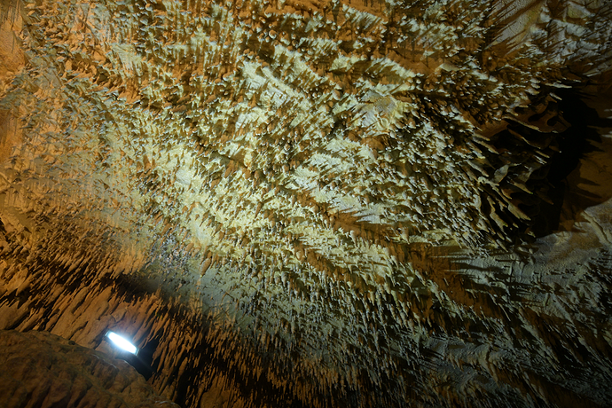 Capture 2025-11-13 12,46,25