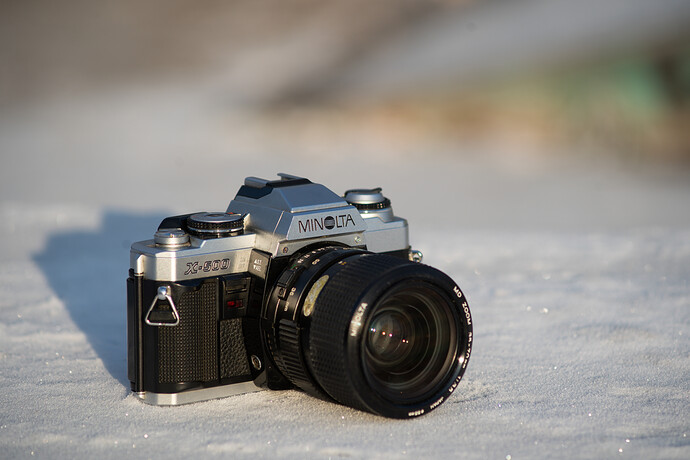 221218_095607_DSC09684