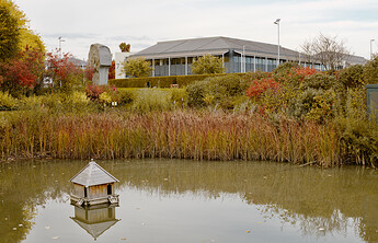 pond-CR3