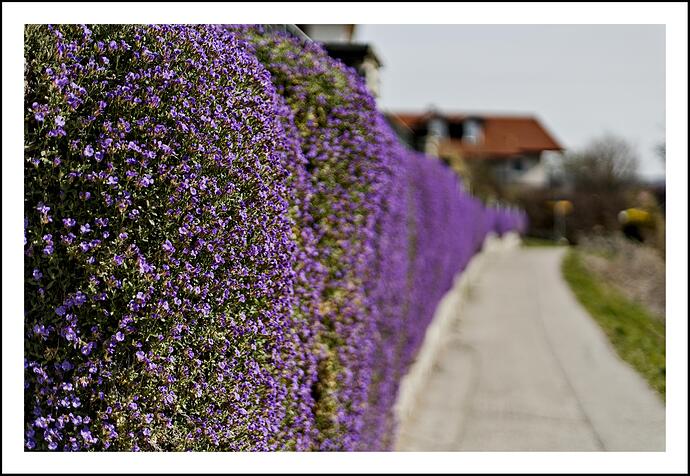 20260325-0930-000521