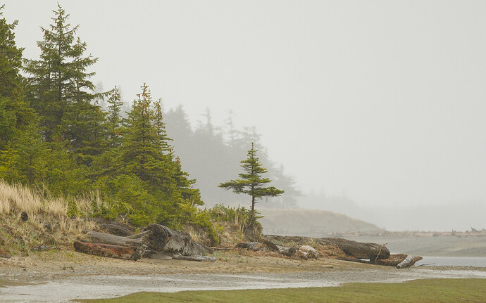 20250507-170323-5036-_DSF5986_FHDP