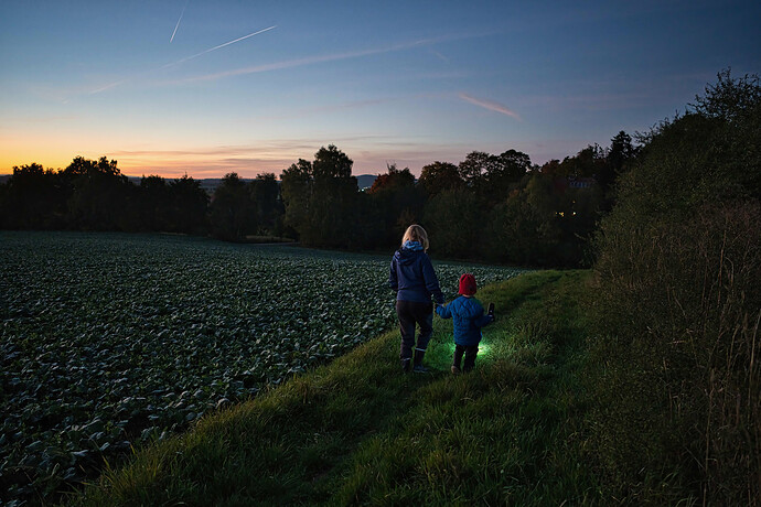 251013_190715_DSC05225 RawTherapee and GIMP (Jpegli)