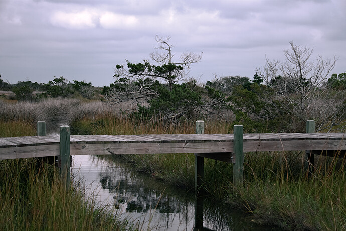 DSC08999_gimp_gmic_edit2