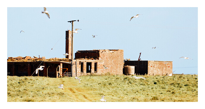 20250523-1716-9868 (0)