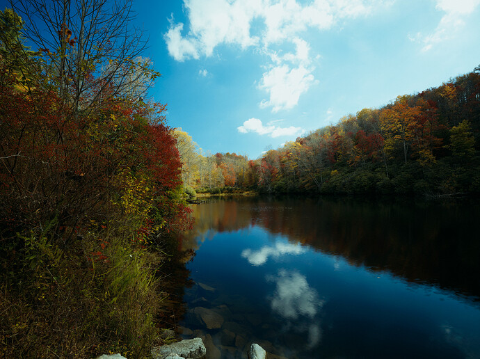 2025-10-18 11.38.12 - Autumn in Appalachian