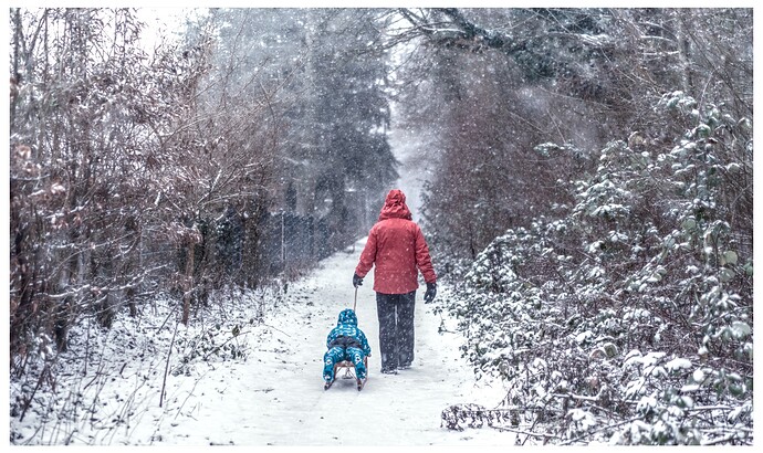 260103_161515_DSC08235