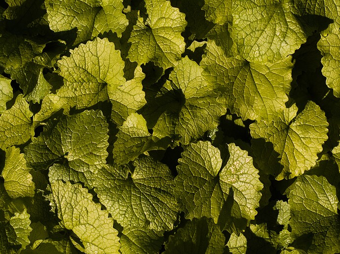 P9300667