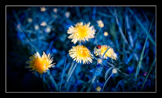260501_175610_DSC00946