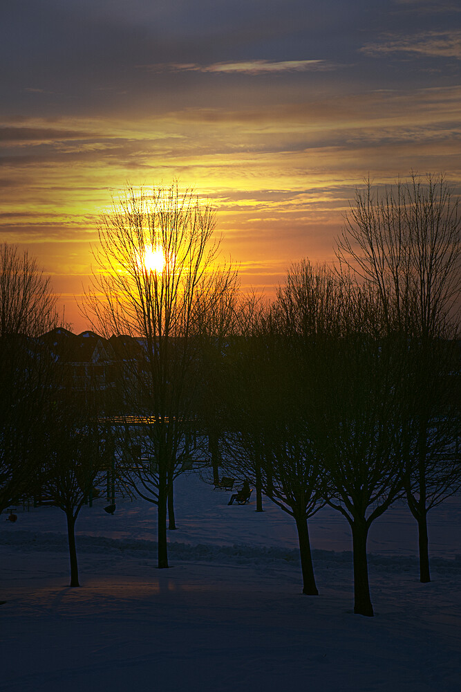 Toronto - Snow and Sunset - DSC07541