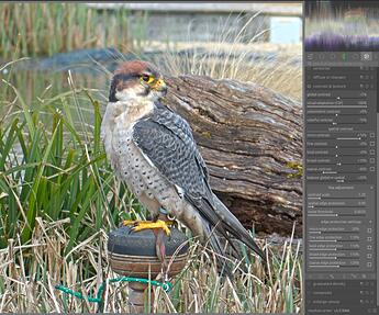 Screenshot from 2026-04-13 21-40-48