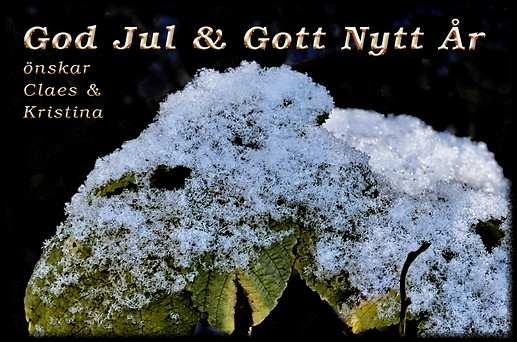 julkort_2020