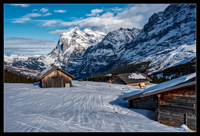 20260210-1535-01603_01