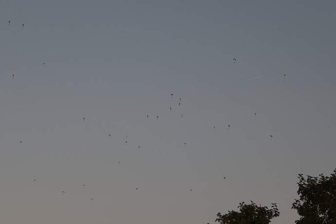 2026-08-12-19-31-00-P1050312