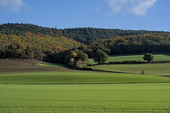 251018_094402_DSC05235