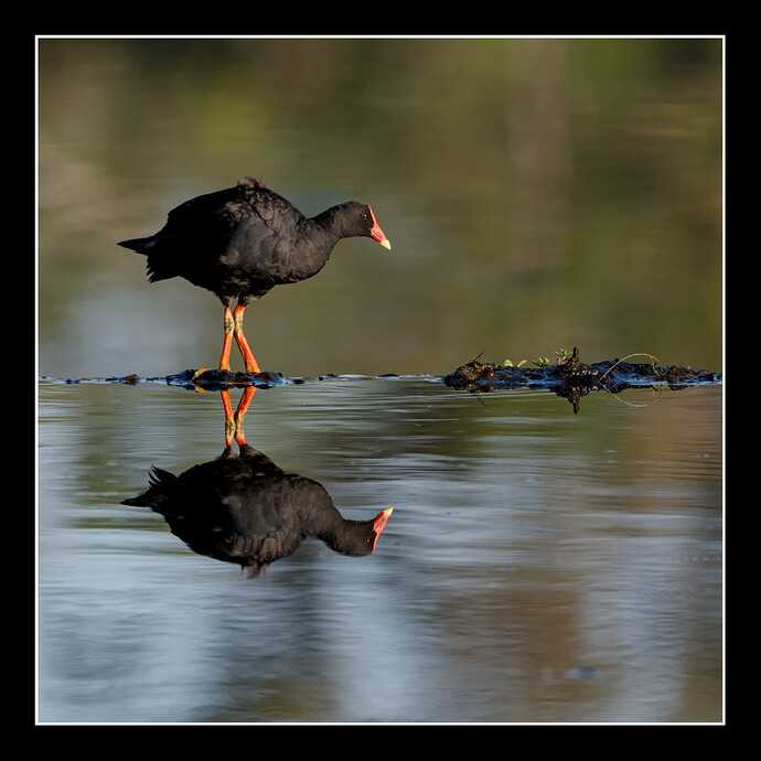 2025-12-06_05-52-10.61_DSC9998