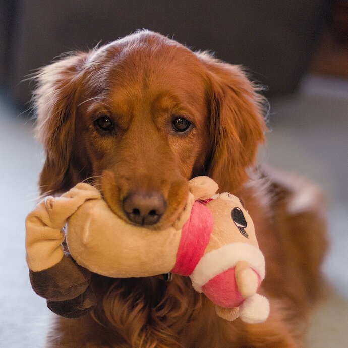 2015-01-22-093429-01