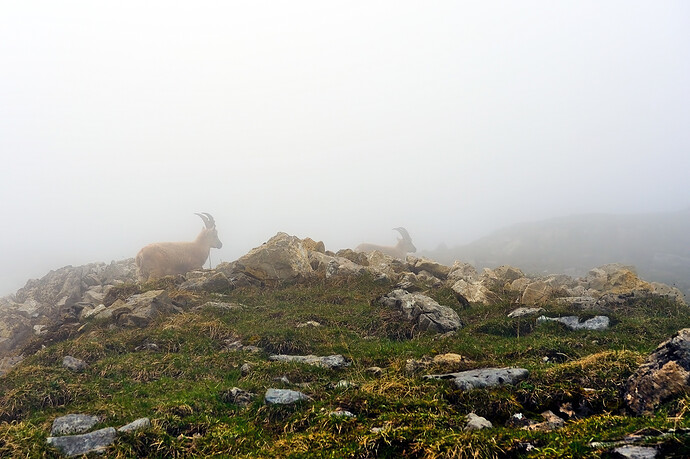 P5180073 ART and GIMP L-a-b