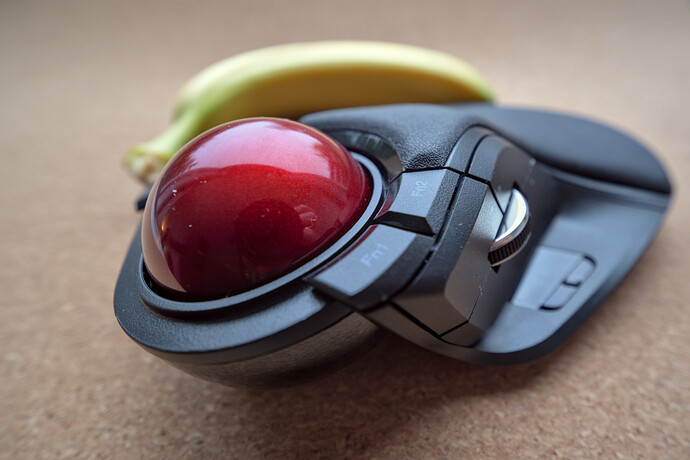 20251114-135024-DSC_0948