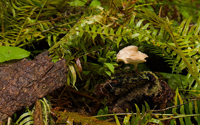 20250505-162704-4024-_DSF4973_RPF