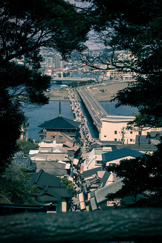DSC01435