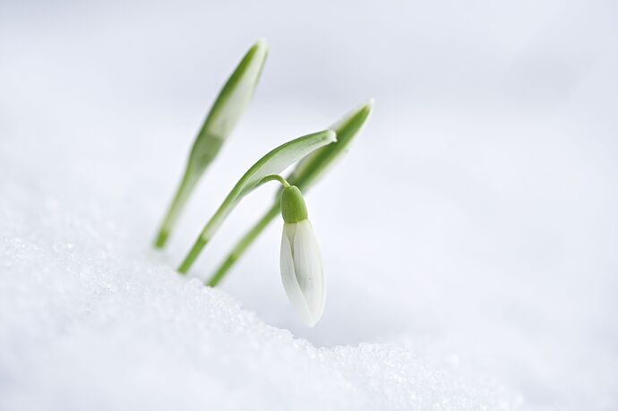 260216_132312_DSC08577