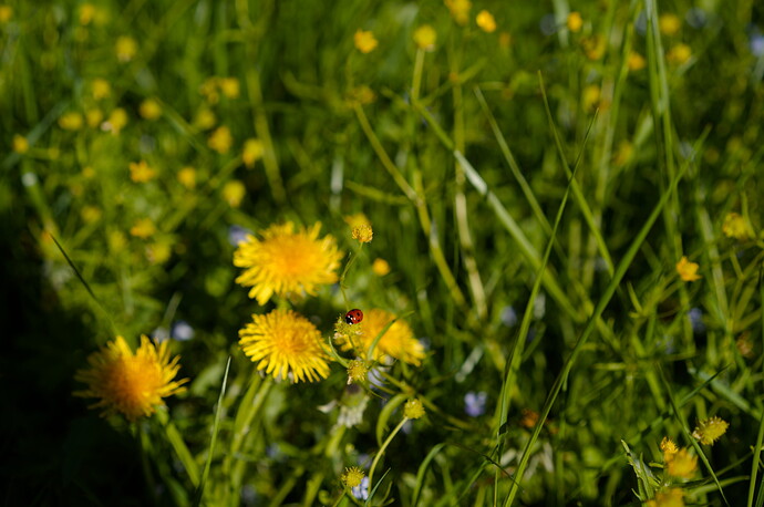 260501_175610_DSC00946