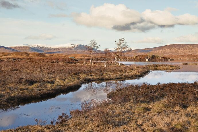 20240302-1709-8228_02