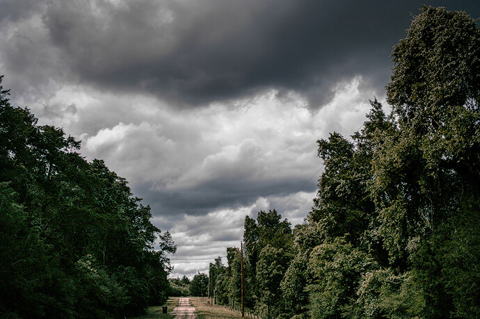 SDIM0790_01