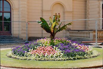 IMG_1079