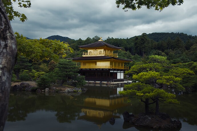 2025_10_11-10_32_54_DSCF7088