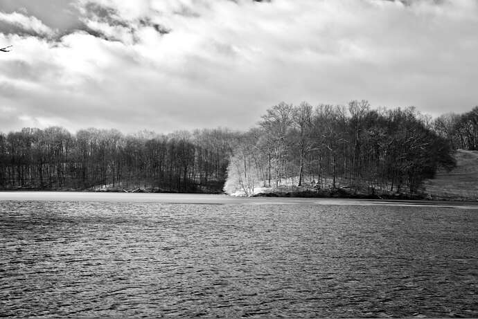 _DSC2426-GIMP LAB1 (1)