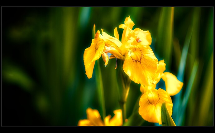 2505_Mai_am_Uemminger_0054_01