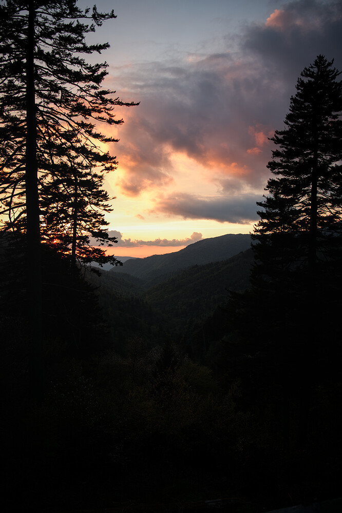 P1089038_01