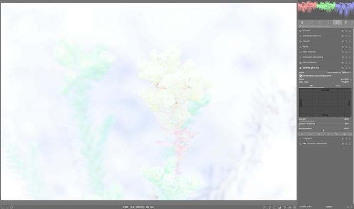 Screen Shot 2022-07-26 at 2.07.57 pm