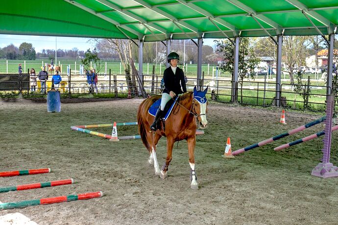 IMG_6624 Bitless_I_2023_1