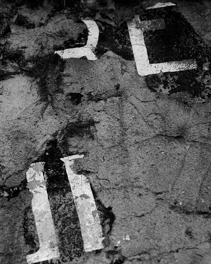 2026-04-19T15-45-11_IMG_2612_dt