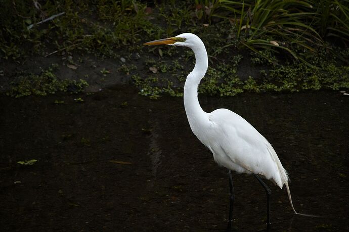 DSC_6163_1920