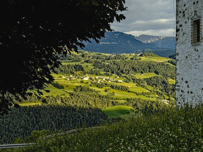 250730_192744_PXR133_01