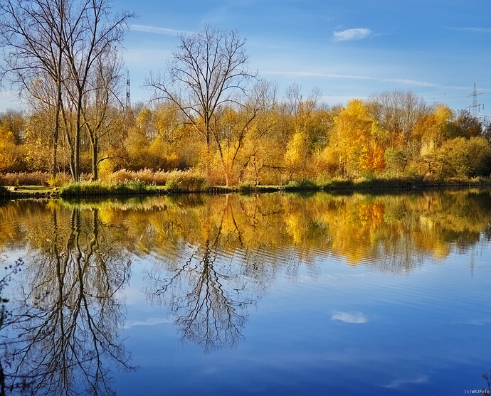 2511_Herbst_am_Uemminger_See-0104