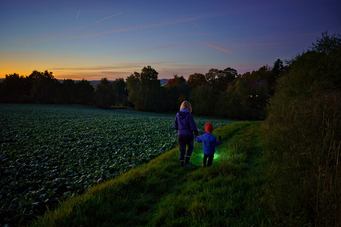 251013_190715_DSC05225