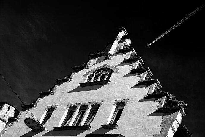 DSC_1619