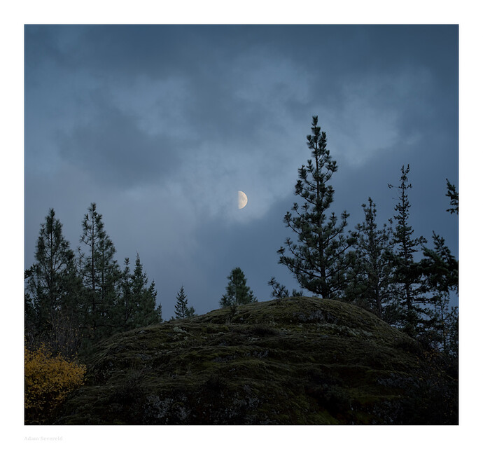 _DSC0605