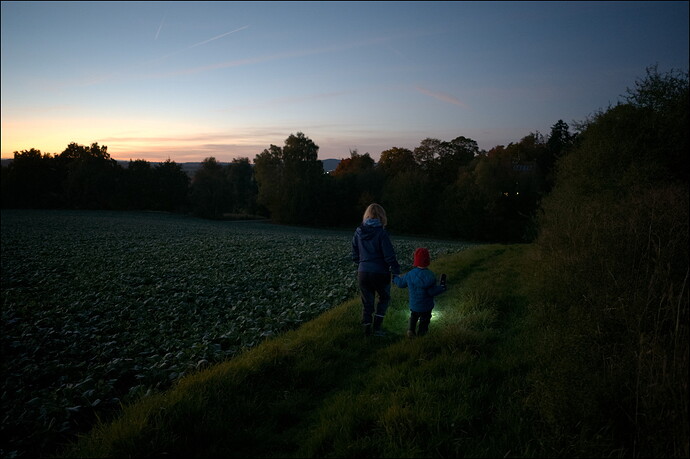 251013_190715_DSC05225