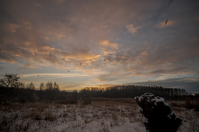 20260110-085620-DSC_2270