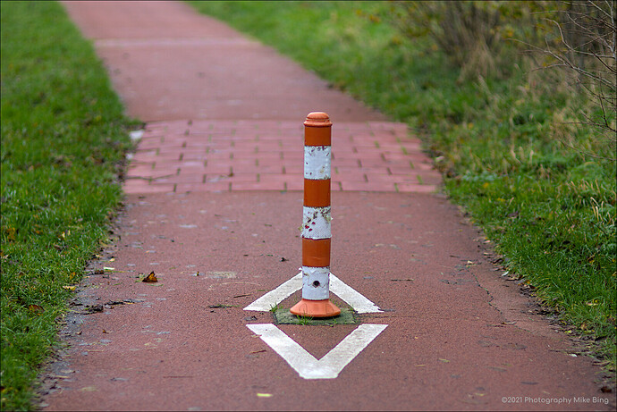 EMG11005-Wandeling_Heiloo-ISO200-dt-2021-web