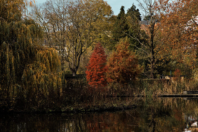 IMG_4255_gimp_gmic_edit